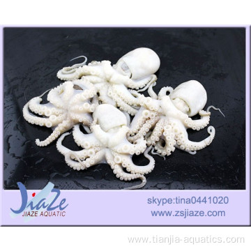 IQF Frozen Octopus flower shape clean